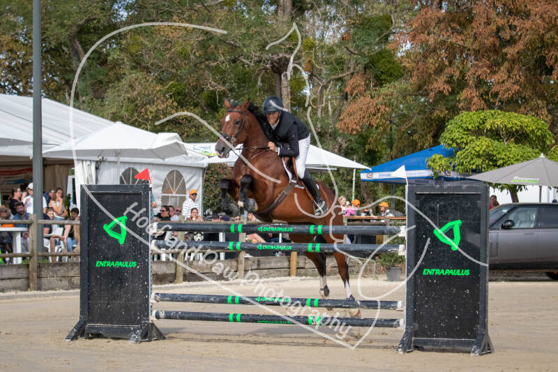 bouferterhaff-jumping-76-standard-jc08sc.jpg