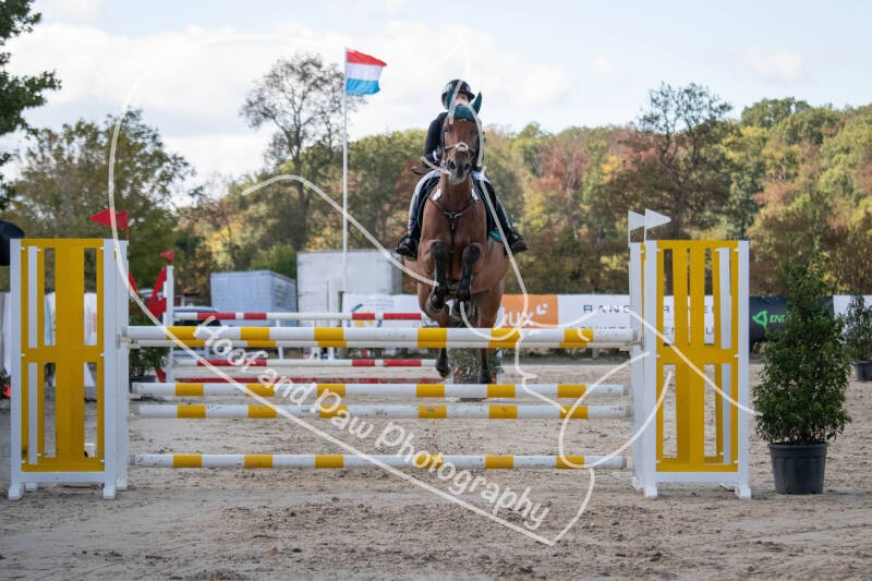 bouferterhaff-jumping-76-standard.jpg