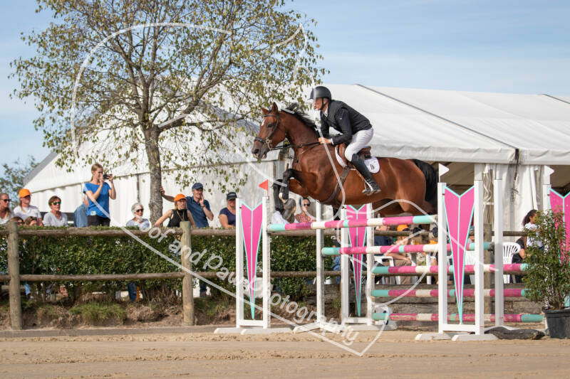 bouferterhaff-jumping-77-standard-1boe0v.jpg