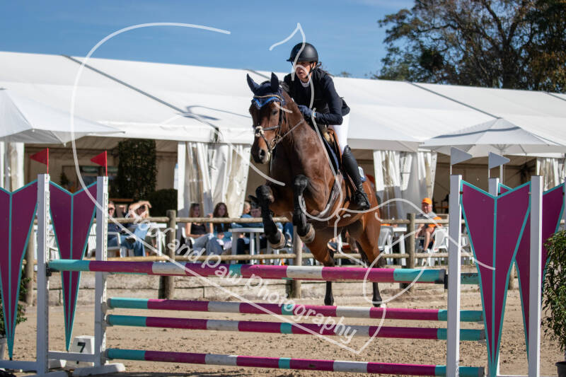 bouferterhaff-jumping-77-standard-98b0fq.jpg