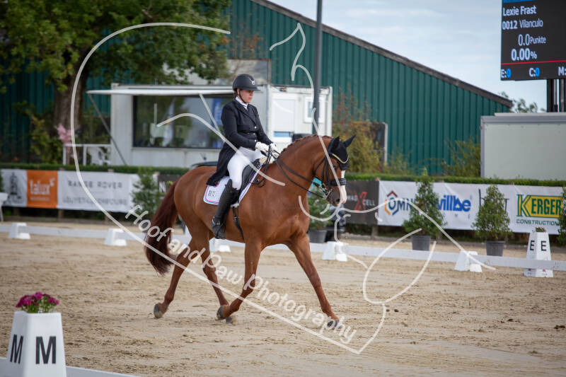 bouferterhaff-jumping-77-standard-9e0b2z.jpg