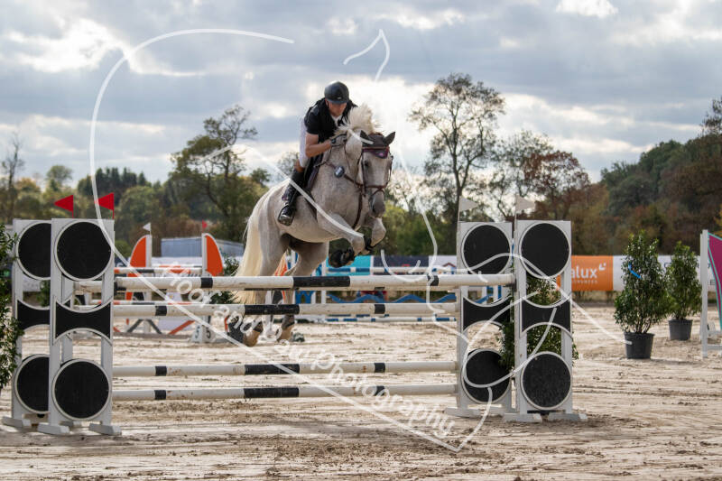 bouferterhaff-jumping-77-standard-9g6tky.jpg