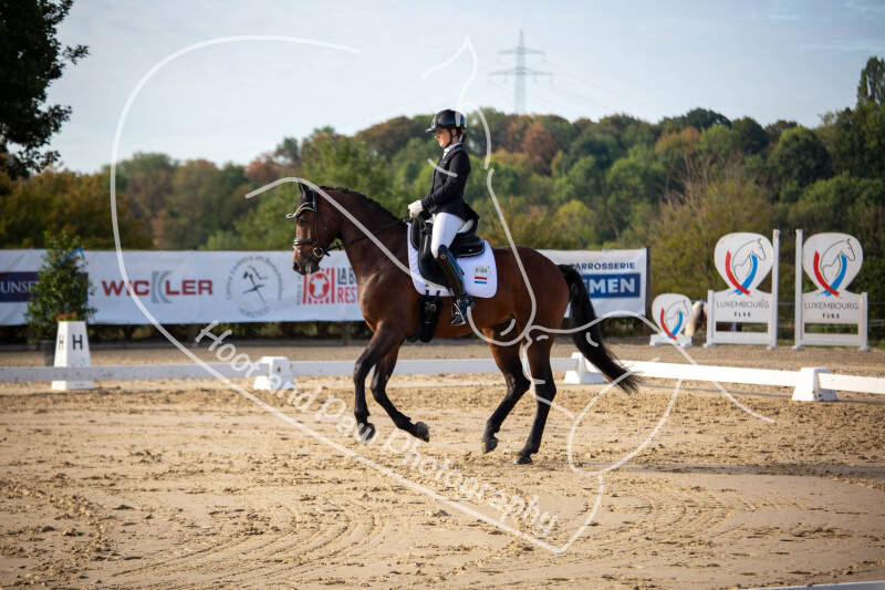 bouferterhaff-jumping-77-standard-rasm6g.jpg