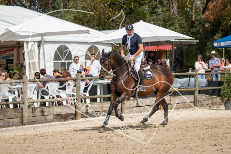 bouferterhaff-jumping-77-standard-xqmp15.jpg