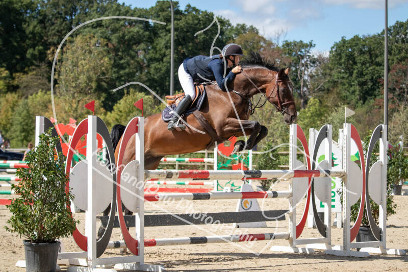 bouferterhaff-jumping-77-standard.jpg