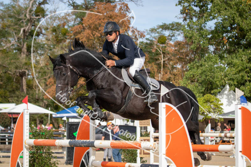 bouferterhaff-jumping-78-standard-ha4k8e.jpg