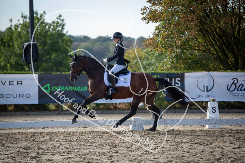 bouferterhaff-jumping-78-standard-jzcj9v.jpg