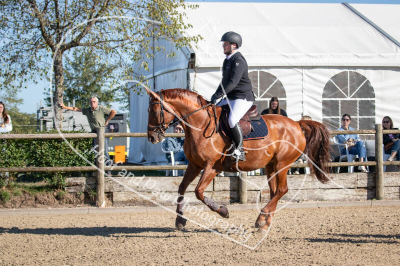 bouferterhaff-jumping-78-standard-xysf44.jpg