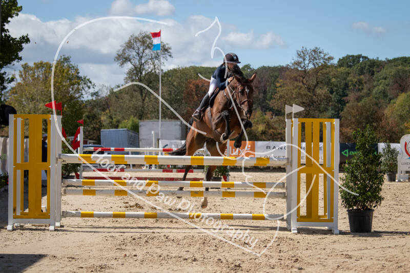 bouferterhaff-jumping-78-standard.jpg