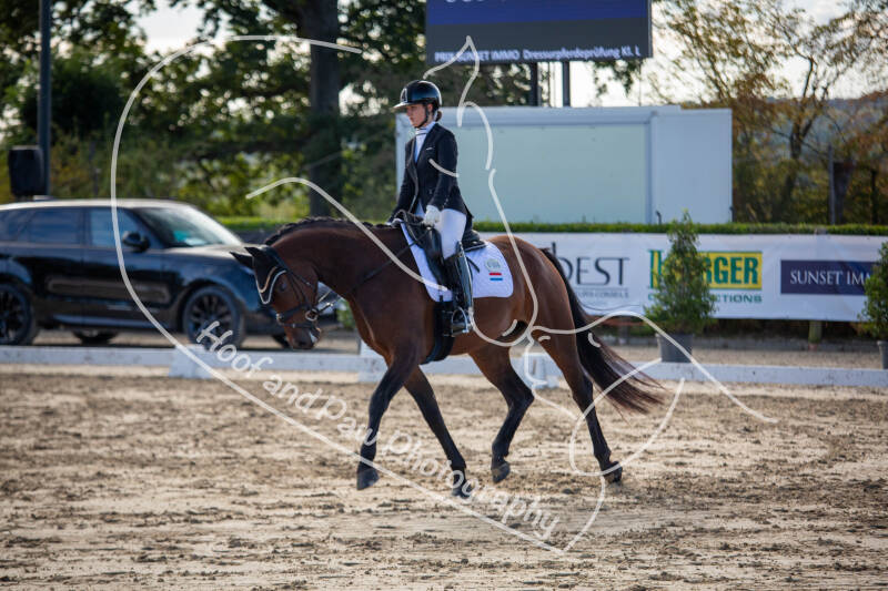 bouferterhaff-jumping-79-standard-54ta7s.jpg