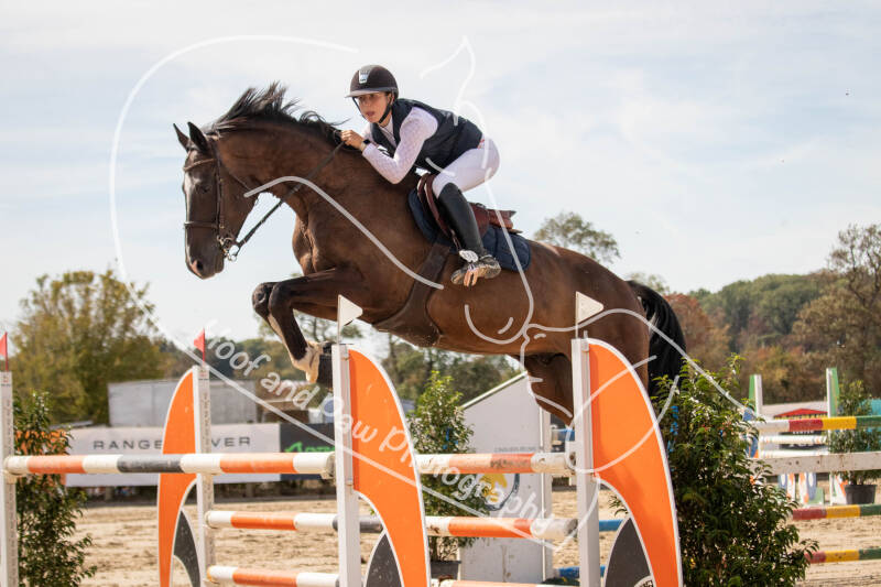 bouferterhaff-jumping-79-standard-5kl5wk.jpg