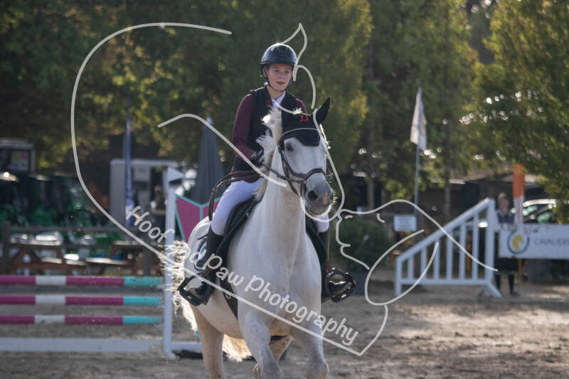 bouferterhaff-jumping-79-standard-60i6f9.jpg