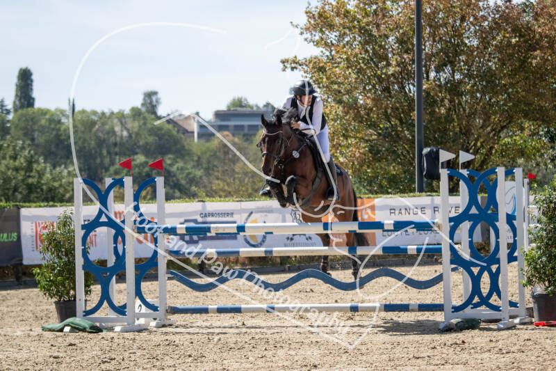 bouferterhaff-jumping-79-standard-8feyz8.jpg