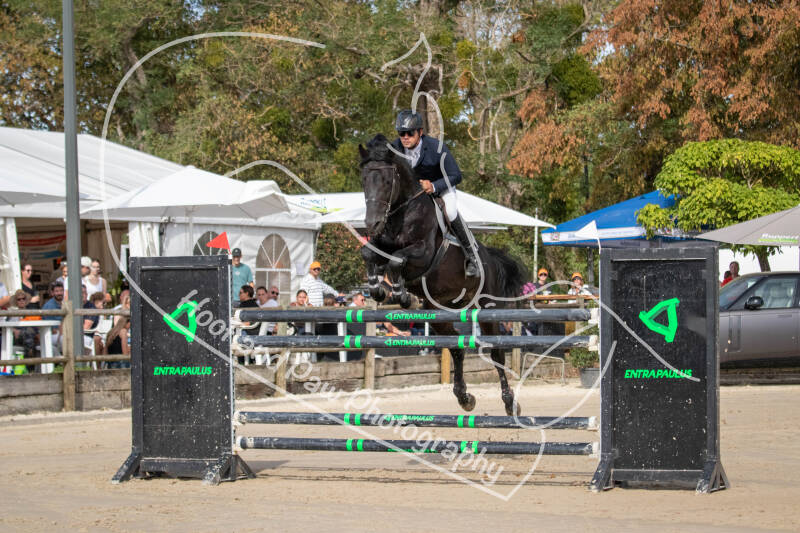 bouferterhaff-jumping-79-standard-f72gyx.jpg