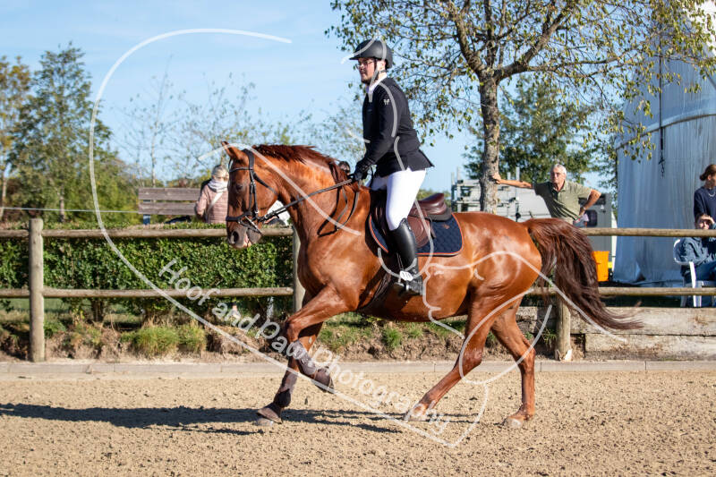 bouferterhaff-jumping-79-standard-kv1w19.jpg