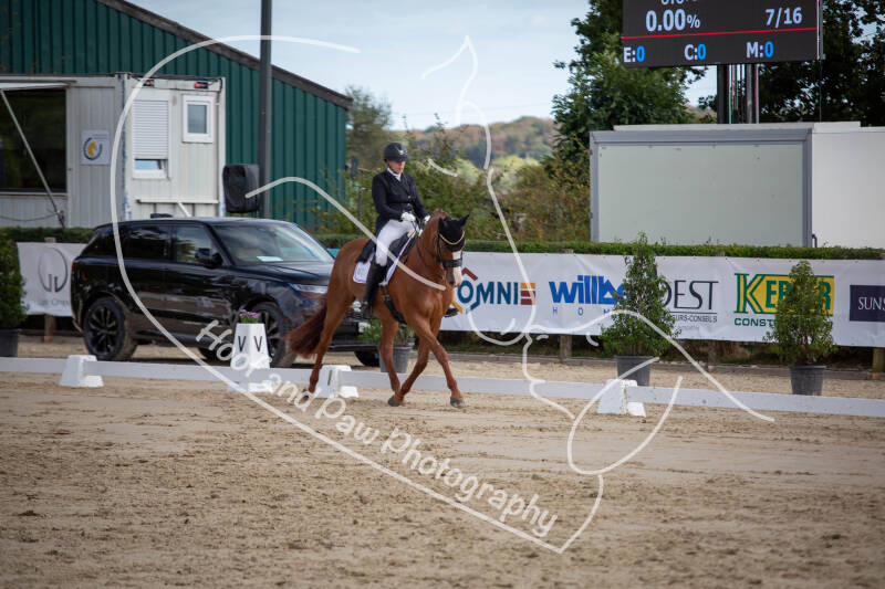 bouferterhaff-jumping-79-standard-u8v9zk.jpg