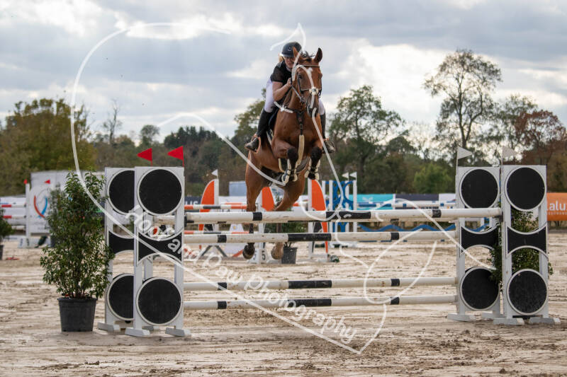 bouferterhaff-jumping-79-standard-vixwgp.jpg
