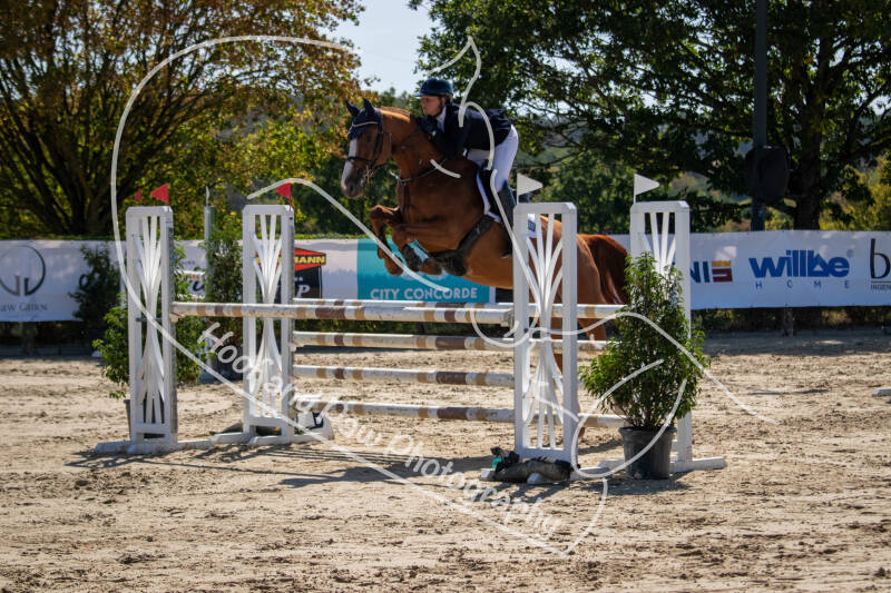 bouferterhaff-jumping-79-standard-zb9dz3.jpg