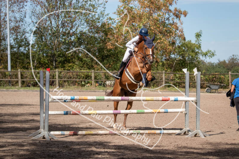 bouferterhaff-jumping-8-standard-1bkddt.jpg