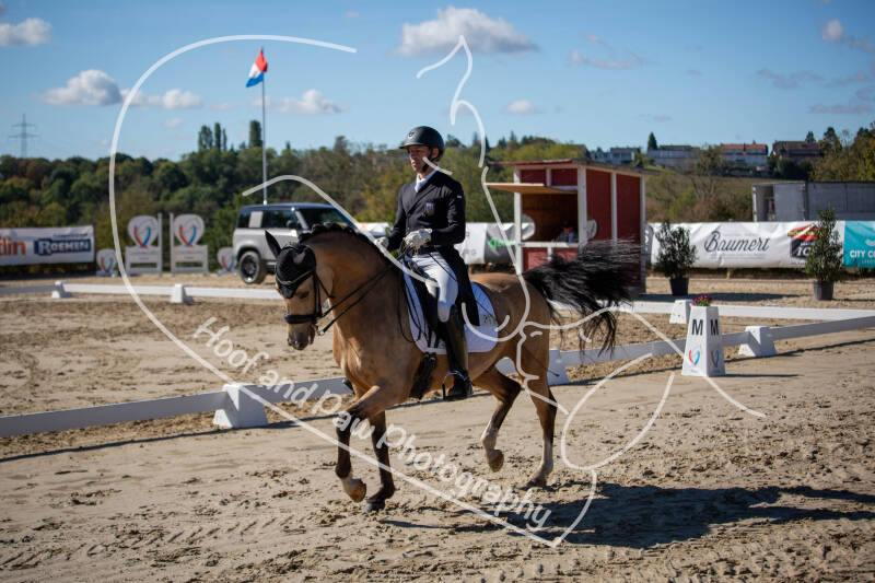 bouferterhaff-jumping-8-standard-29znwj.jpg