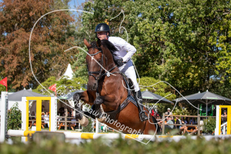 bouferterhaff-jumping-8-standard-6vo1ps.jpg