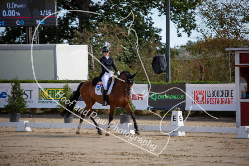 bouferterhaff-jumping-8-standard-7w86ai.jpg
