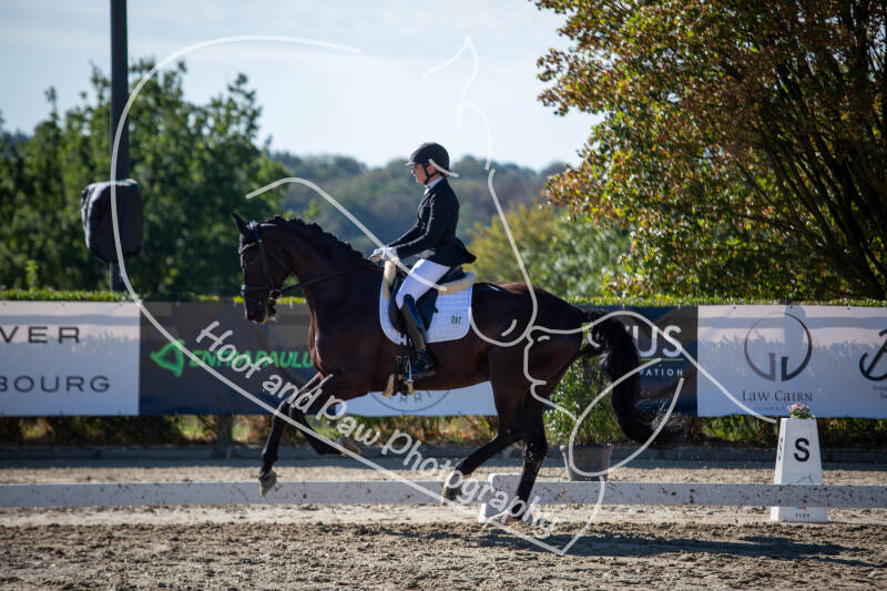bouferterhaff-jumping-8-standard-7zjedk.jpg
