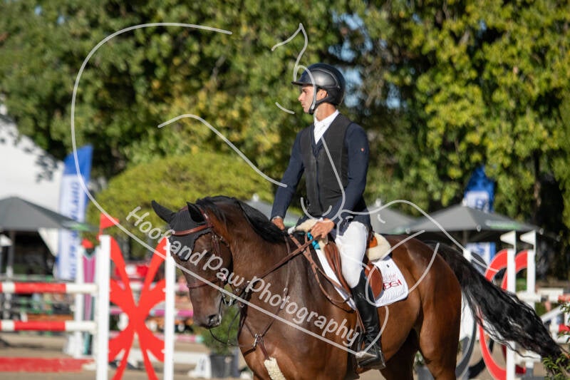 bouferterhaff-jumping-8-standard-9sirxy.jpg