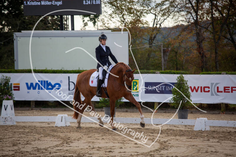 bouferterhaff-jumping-8-standard-gvklt0.jpg