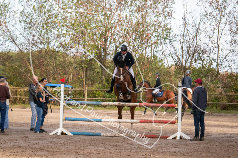 bouferterhaff-jumping-8-standard-mtwrim.jpg