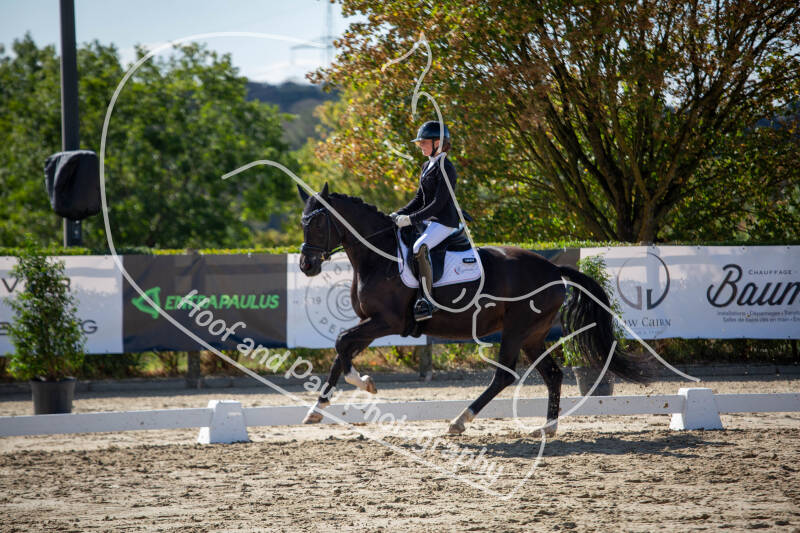 bouferterhaff-jumping-8-standard-tkcfx6.jpg