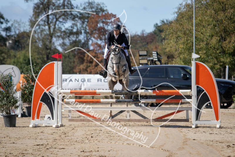 bouferterhaff-jumping-8-standard-yremha.jpg