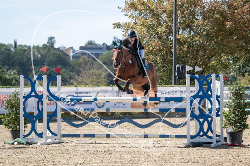 bouferterhaff-jumping-8-standard-zzpblo.jpg