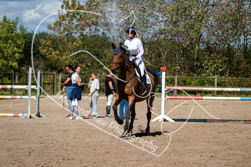 bouferterhaff-jumping-8-standard.jpg