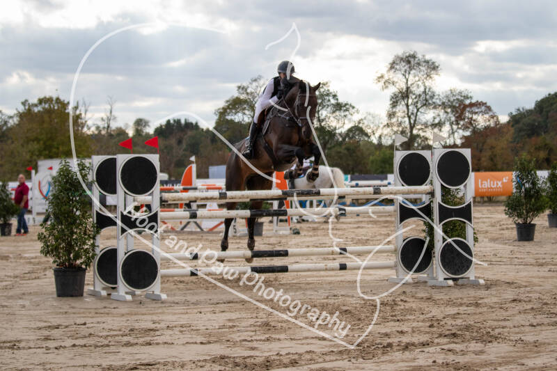 bouferterhaff-jumping-80-standard-5vcwn6.jpg