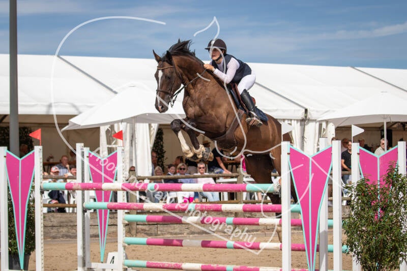 bouferterhaff-jumping-80-standard-b9w307.jpg