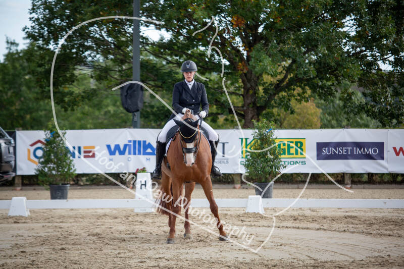 bouferterhaff-jumping-80-standard-z11w0g.jpg