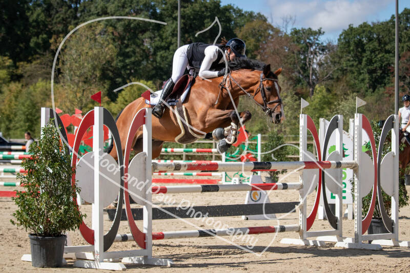 bouferterhaff-jumping-80-standard.jpg