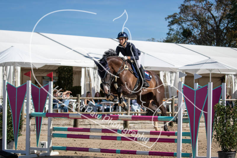 bouferterhaff-jumping-81-standard-35e185.jpg