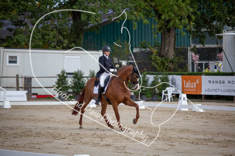 bouferterhaff-jumping-81-standard-5vurh6.jpg