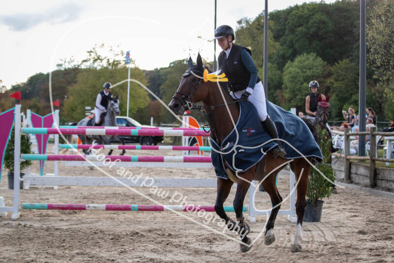 bouferterhaff-jumping-81-standard-7fruf2.jpg