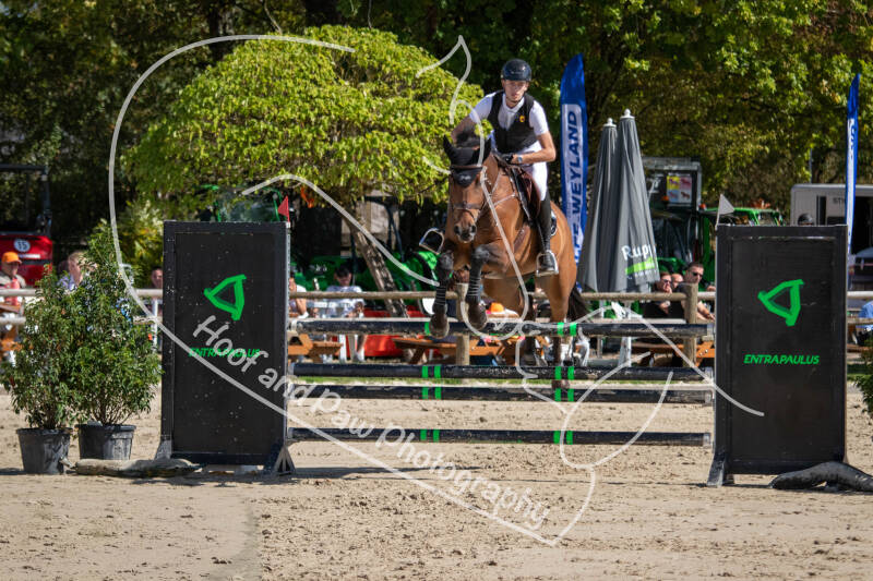 bouferterhaff-jumping-81-standard-ah7how.jpg