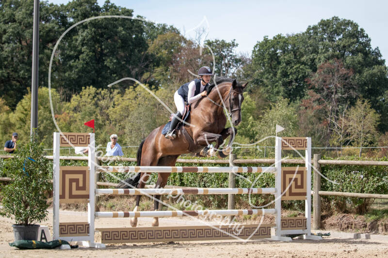 bouferterhaff-jumping-81-standard-crccl9.jpg