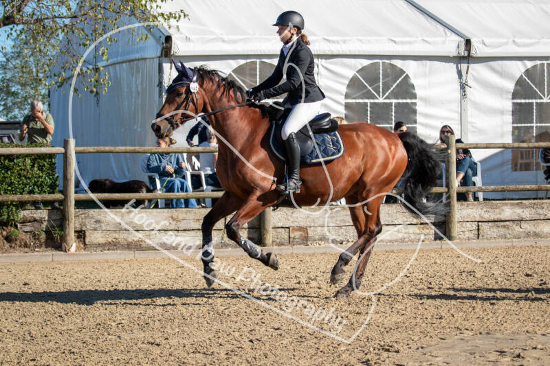 bouferterhaff-jumping-81-standard-g5ebaz.jpg