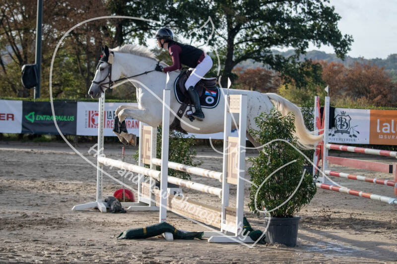 bouferterhaff-jumping-81-standard-poh603.jpg