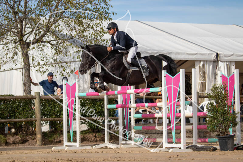 bouferterhaff-jumping-81-standard-rz6wvj.jpg