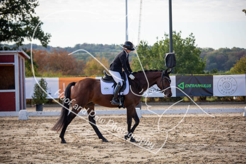bouferterhaff-jumping-81-standard-tbie3b.jpg