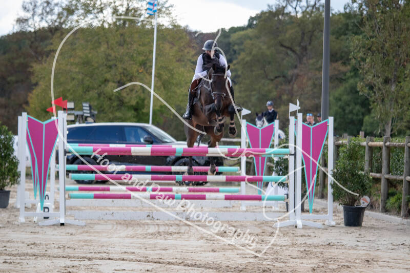 bouferterhaff-jumping-81-standard-whi3ai.jpg