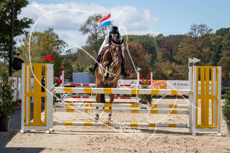 bouferterhaff-jumping-81-standard.jpg
