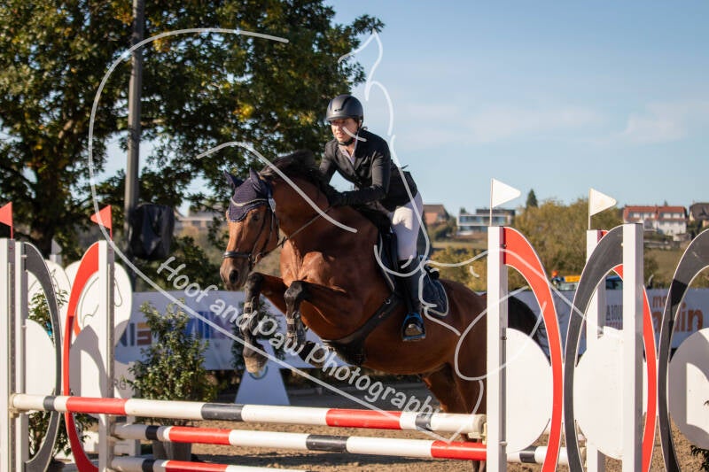 bouferterhaff-jumping-82-standard-1f3e7v.jpg